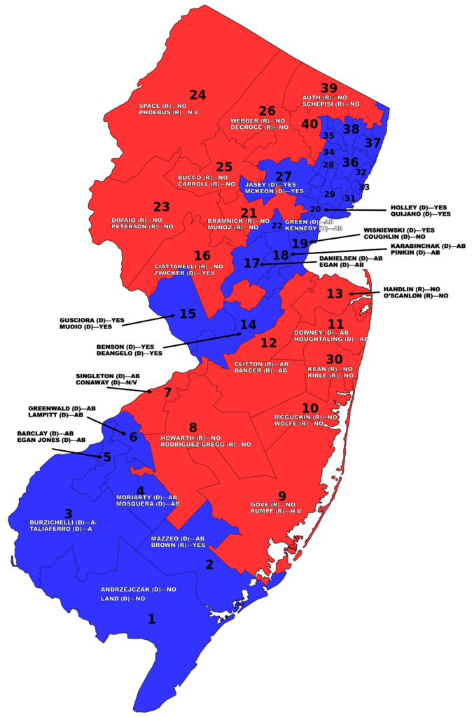 New Jersey Senate Election 2024 - Luci Simona