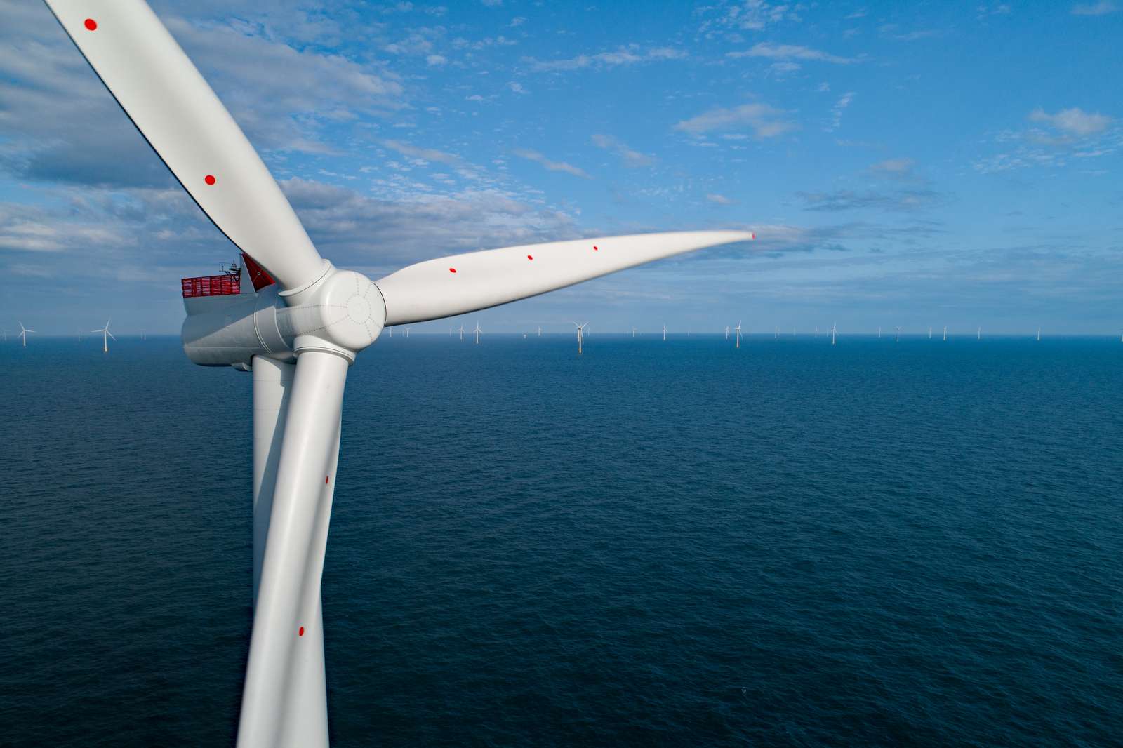 The facts on wind turbines, whales and New Jersey's future